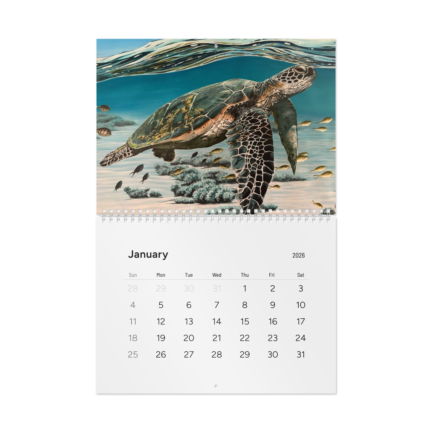 Claire Marie 2026 Art Wall Calendar — Coastal & Surfboard Landscapes