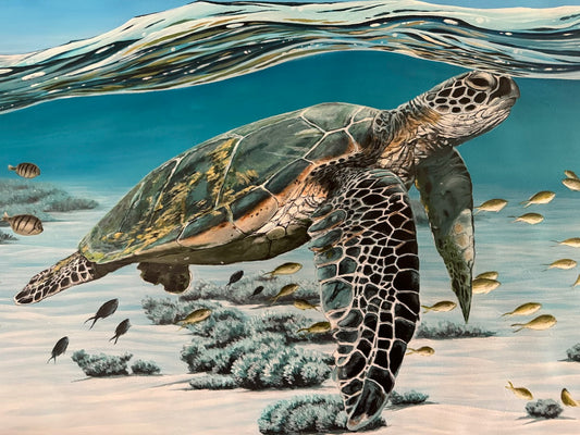 "Chunk the Sea Turtle" - limited edition A3 fine art print