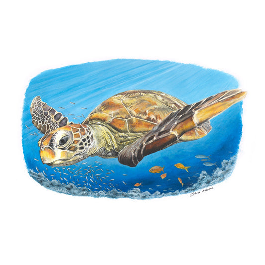 "Curious sea turtle with fish" - original acrylic painting on A3 paper