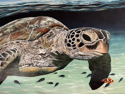 'Emmie the sea turtle' Framed art print