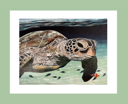 "Emmie the Sea Turtle" - limited edition A3 fine art print
