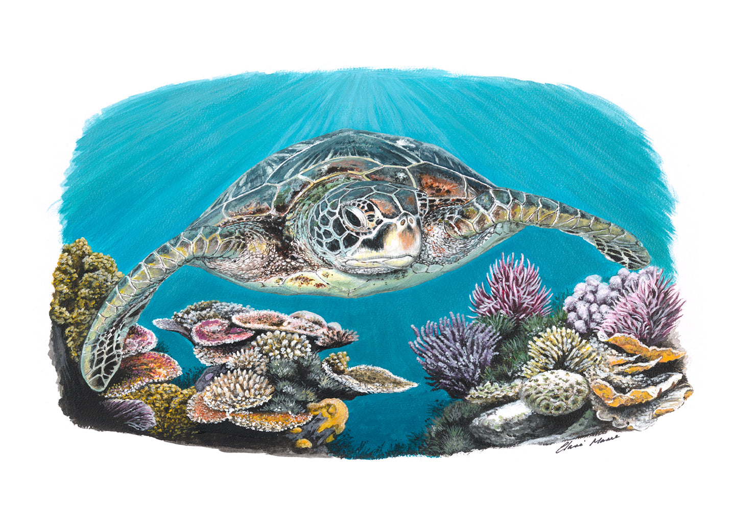 "Green turtle coral dreams" - limited edition A3 fine art print