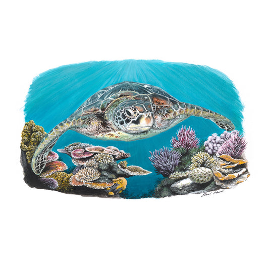 "Green turtle coral dreams" - limited edition A3 fine art print